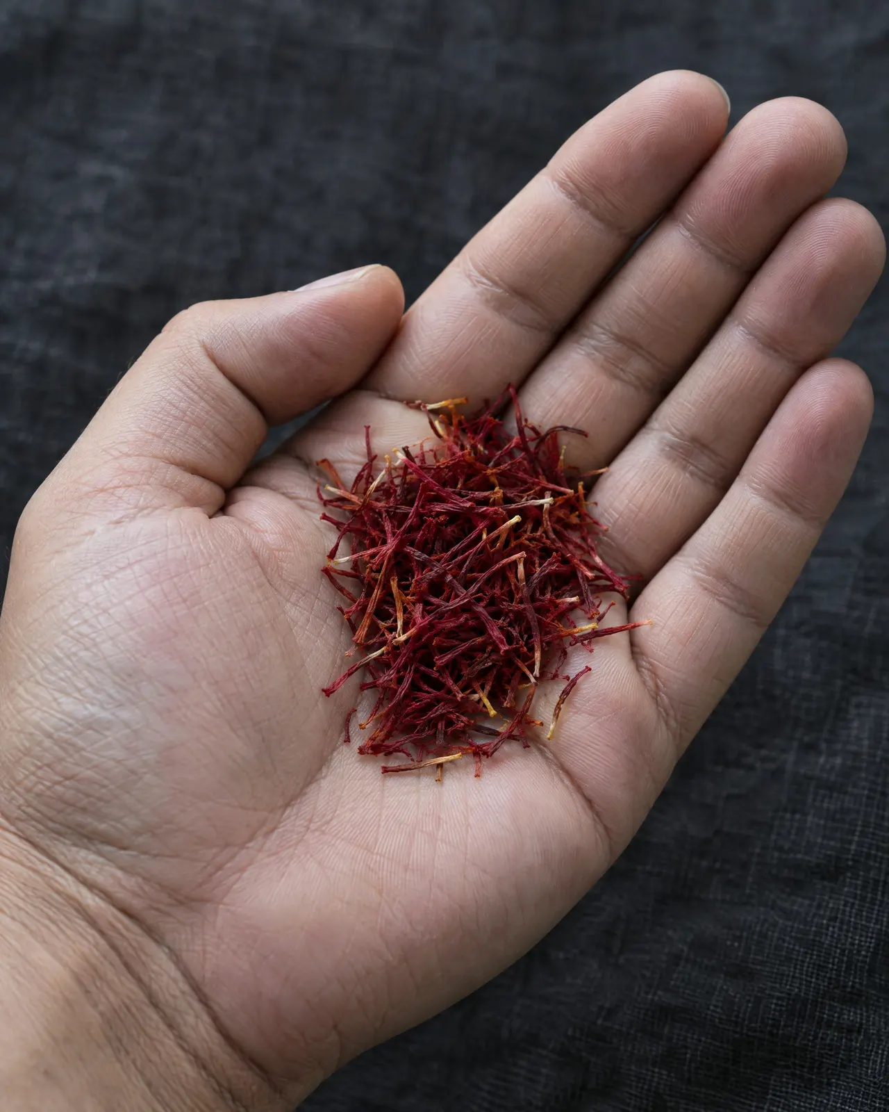 Pistils de safran rouges dans le creux d'une paume